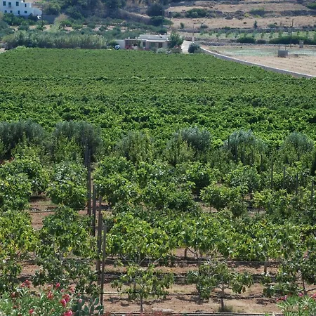 Kampos Naousa-marpisa Αμπελάς