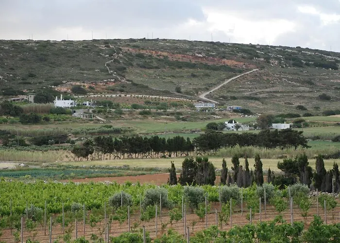 Kampos Naousa-marpisa Ampelas