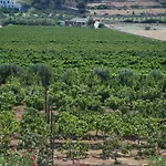 Kampos Naousa-marpisa أمبيلاس