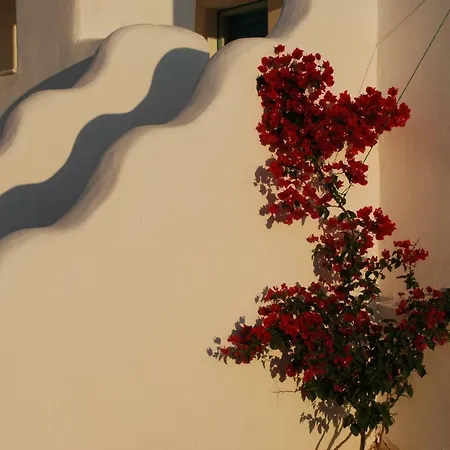 Holiday home Kampos Ambelas