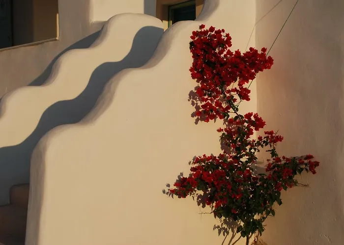 Casa vacanze Kampos Naousa-marpisa Ambelas