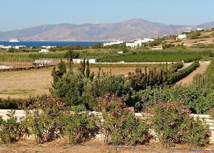 Kampos Naousa-marpisa Ambelas