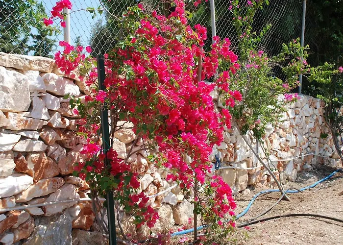 Casa de Férias Kampos Naousa-marpisa Ambelas